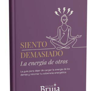 Siento demasiado - PDFBundle