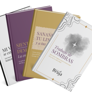 Paquete 4 PDF-Bundle